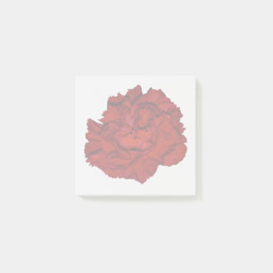 Rode Anjer Plakbriefjes Post-it® Notes
