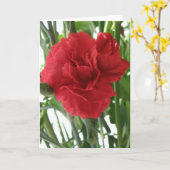 rode anjer Wenskaart Kaart (Gele Bloem)