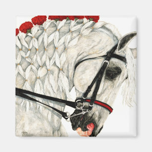 Rode anjers - White Horse Magnet Magneet