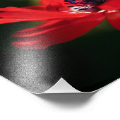 Rode annemonventilator foto afdruk (Hoek)