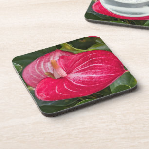 Rode Anthurium Bloom Bloemen Bier Onderzetter