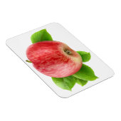 Rode appel magneet (Rechterzijde)