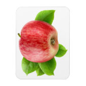 Rode appel magneet (Verticaal)