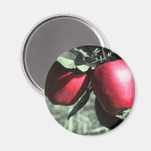 Rode Appelen op Zwart-witte Magneet (Voorkant / Achterkant)