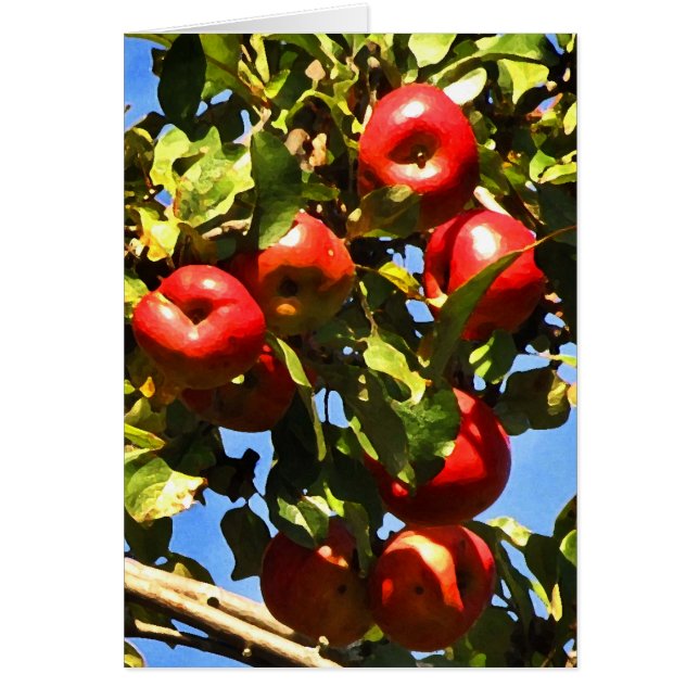 Rode appels (Voorkant)