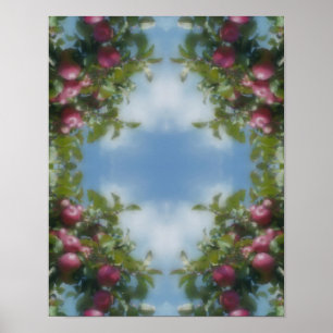 Rode appels aan boom Foto Schilderij Natuur Kunst Poster