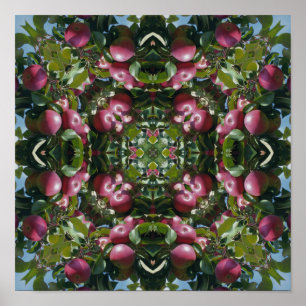 Rode appels aan boom Natuur kunst abstract Poster