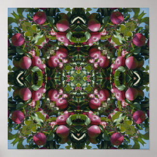Rode appels aan boom Natuur kunst abstract Poster