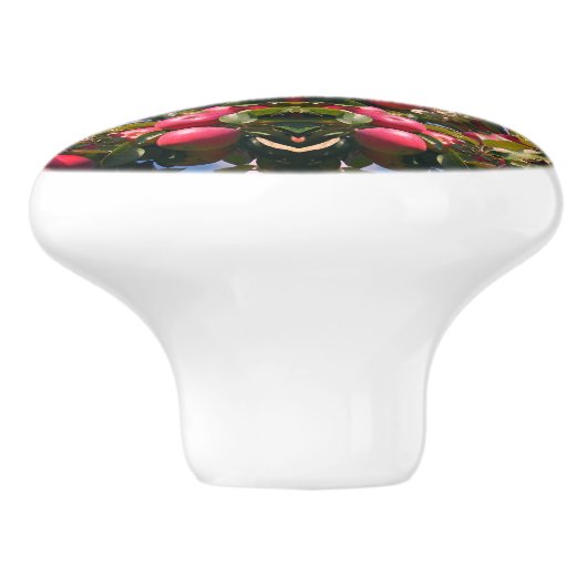 Rode appels op Abstracte Natuur van bomen Keramische Knop (Zijkant)