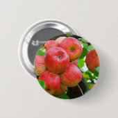 Rode appels op bomen ronde button 5,7 cm (Voorkant /achterkant)