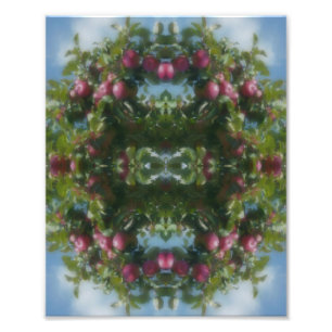 Rode appels op boomschilderij Abstract 8x10 Foto Afdruk
