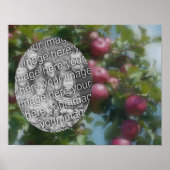 Rode appels op Tree Art Creëer Uw eigen foto Poster (Voorkant)