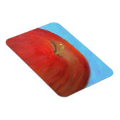 Rode Apple Flex Magnet Magneet (Rechterzijde)