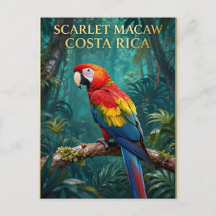 🌴 Rode Ara Costa Ricaanse Wilde Dieren Briefkaart
