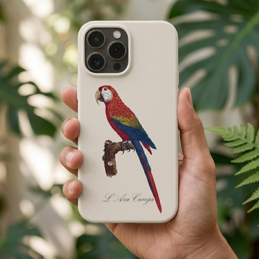 Rode Ara of Blauwgele Ara, Ara macao Case-Mate iPhone Case