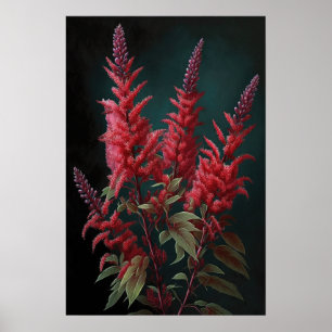 Rode Astilbe Bloem Kunstprint Poster