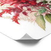 Rode Astilbe Bloem Kunstprint Poster (Hoek)