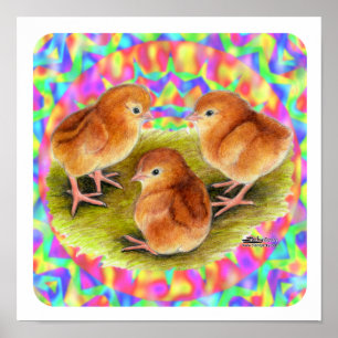Rode babykuikens poster