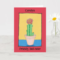 Rode bal cactus, stekelig maar schattig, jouw naam