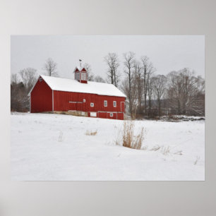 Rode Barn in de sneeuw Poster
