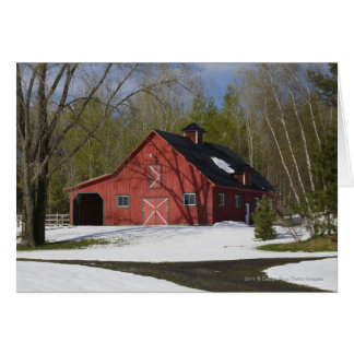 Rode Barn in de winter