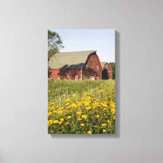 Rode Barn met gele wilde bloemen Canvas Afdruk (Voorkant)