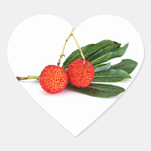 rode bayberry hart sticker (Voorkant)