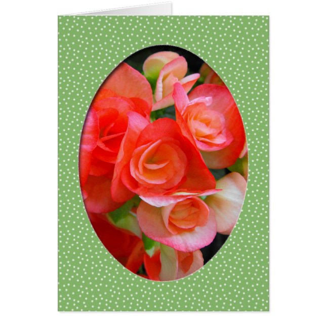 rode bedelaarbloemen (Voorkant)