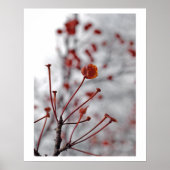 rode bes poster (Voorkant)