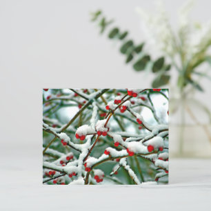Rode bessen in de sneeuw (2025) briefkaart