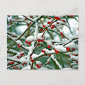 Rode bessen in de sneeuw (2025) briefkaart (Voorkant)