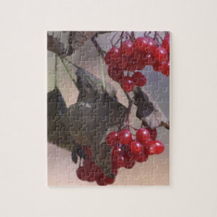 Rode Bessen Legpuzzel