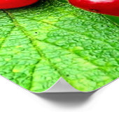 Rode bessen met regendruppels dicht bij elkaar poster (Hoek)