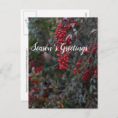 Rode bessen, Seizoensgroeten Feestdagenkaart (Voorkant / Achterkant)