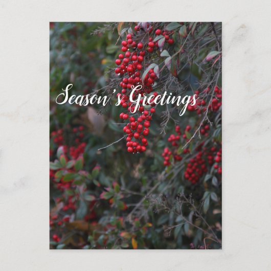 Rode bessen, Seizoensgroeten Feestdagenkaart (Voorkant)