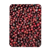 Rode bessen van de Himalaya Magneet (Verticaal)