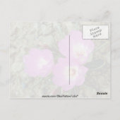 Rode bitterwortelbloemen briefkaart (Achterkant)