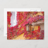 Rode bladeren briefkaart (Voorkant / Achterkant)