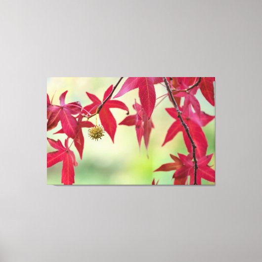 Rode bladeren canvas afdruk (Voorkant)