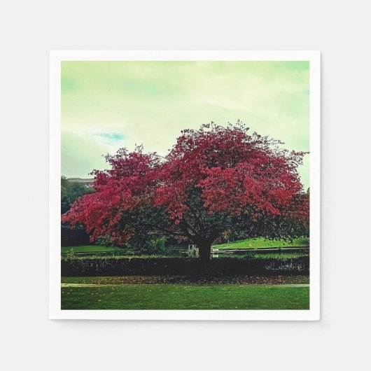 Rode bladeren servet (Voorkant)