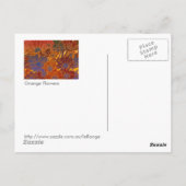 Rode blauwe en Oranje bloemen Briefkaart (Achterkant)