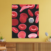 Rode bloedcellen en één witte bloedcel canvas afdruk (Insitu (Woonkamer))