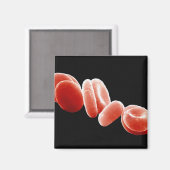 Rode bloedcellen magneet (Voorkant / Achterkant)