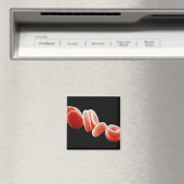 Rode bloedcellen magneet (Insitu (Vaatwasser))