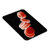 Rode bloedcellen magneet (Rechterzijde)