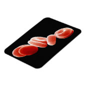 Rode bloedcellen magneet (Linkerzijde)