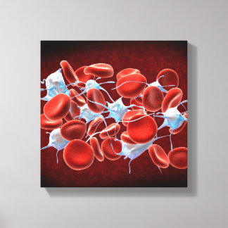 rode bloedcellen met leukocyten canvas afdruk