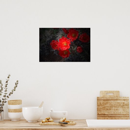 Rode bloeiende cactus, woestijnPoster Poster (Keuken)