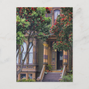 Rode Bloeiende Eucalyptusboom Frames Victoriaanse Briefkaart