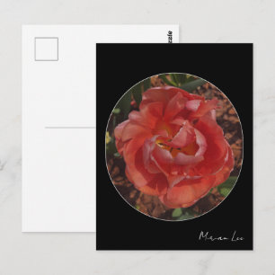 rode bloem briefkaart